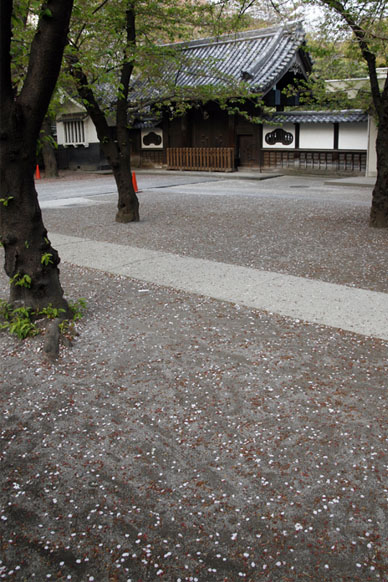 写真12