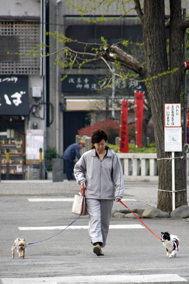 写真3