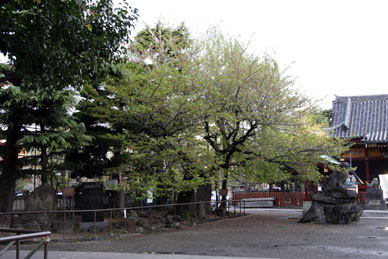 写真3
