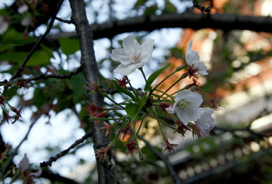 写真10