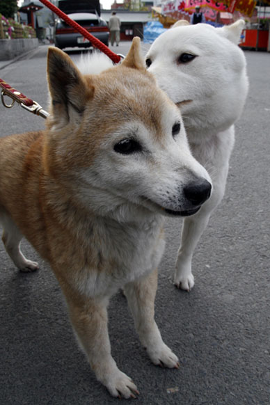 写真000