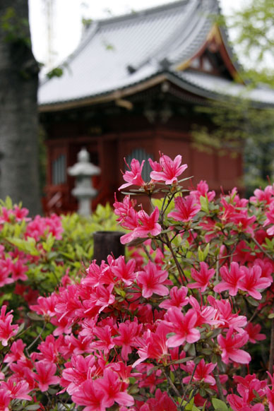 写真12