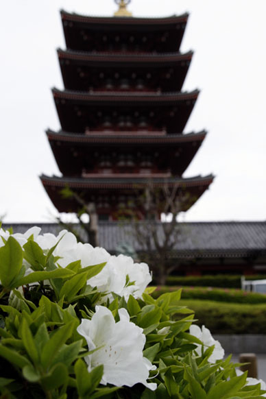 写真12