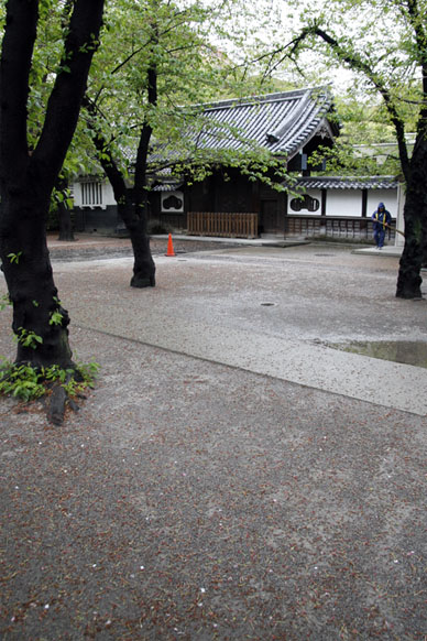 写真7