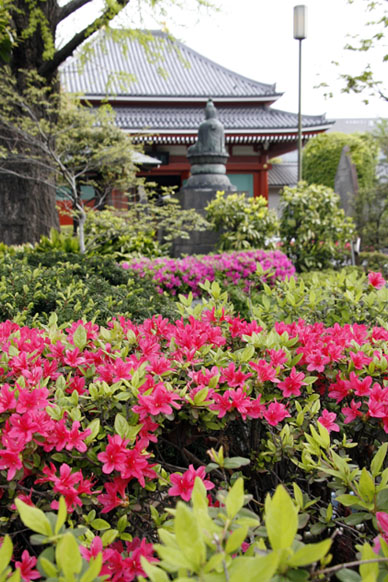 写真12