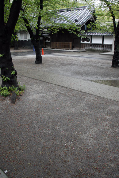 写真12