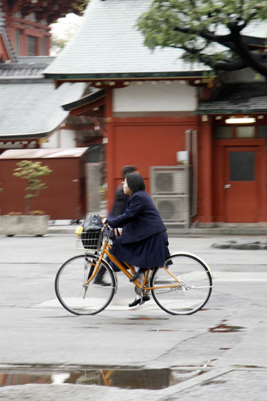 写真12