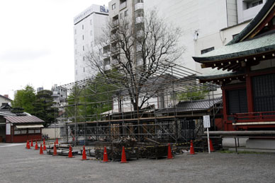 写真12