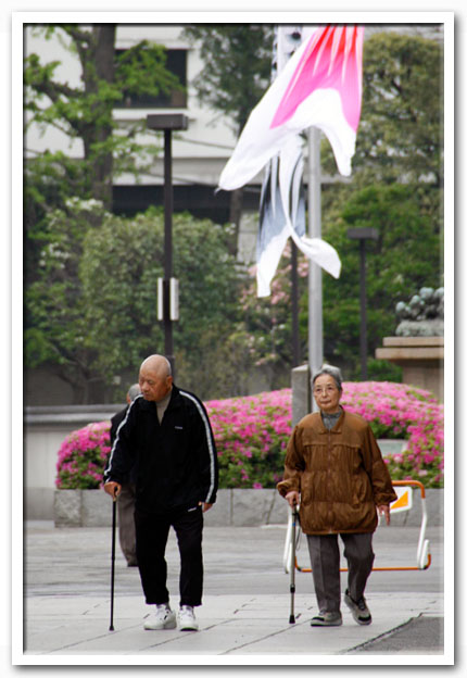 写真1