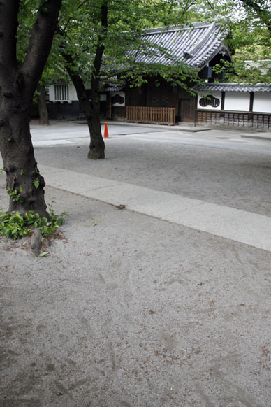 写真12