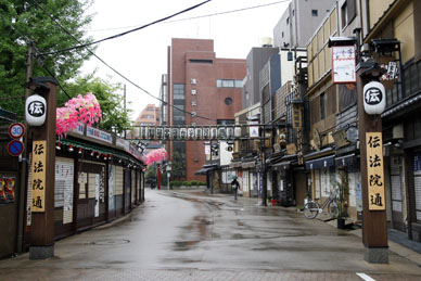 写真12