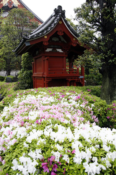 写真12