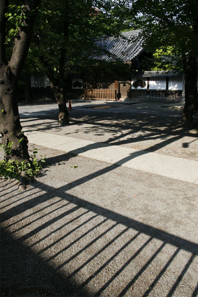 写真12