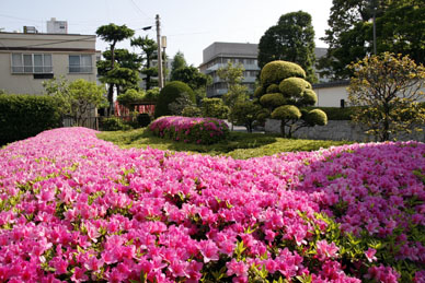 写真12