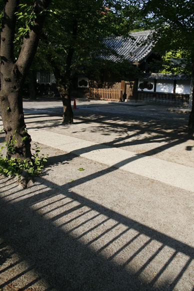 写真12