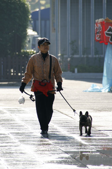写真7