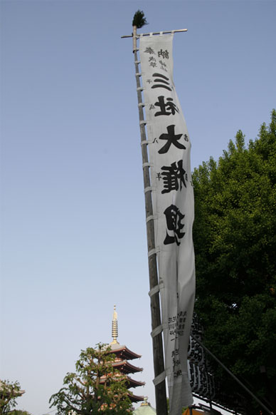 写真12