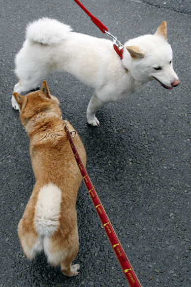 写真000