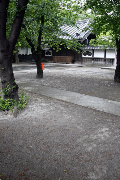 写真12