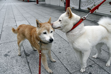 写真000