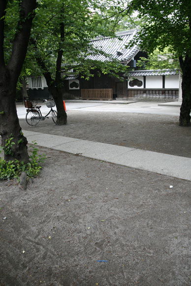写真12