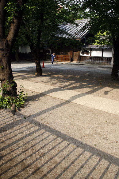 写真12