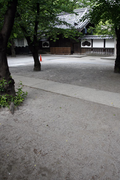 写真12