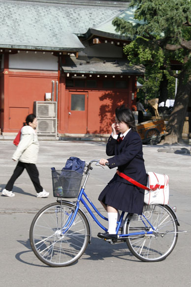 写真12