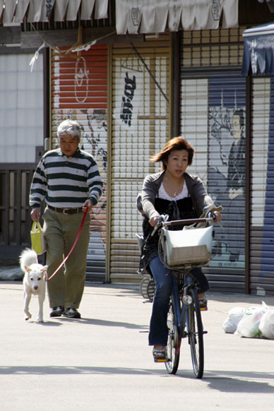 写真12