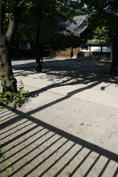 写真12