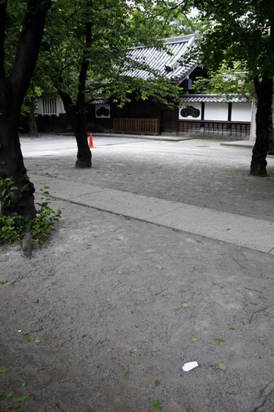 写真12