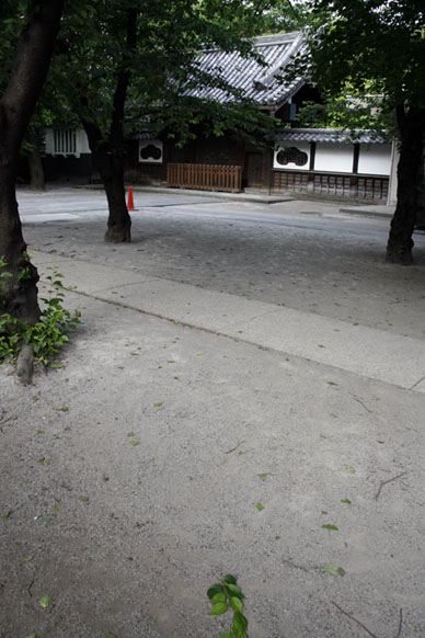 写真12