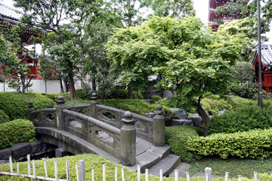 写真12