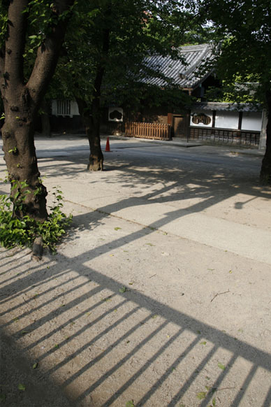 写真7