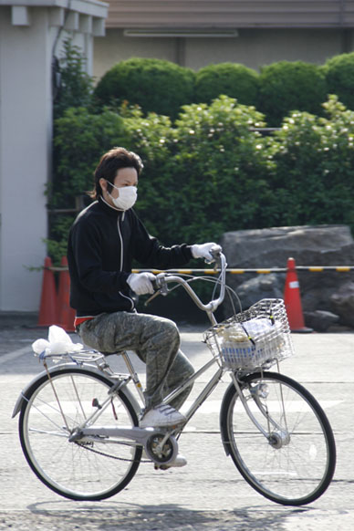 写真12