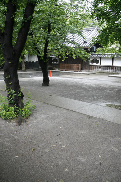 写真12