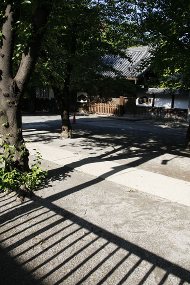 写真12