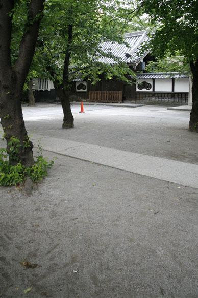 写真12