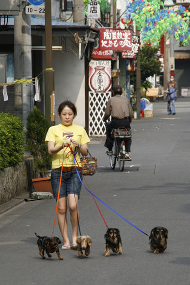 写真12