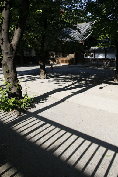 写真12