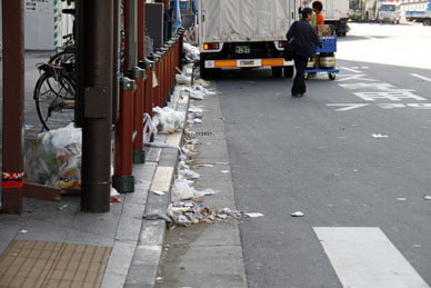 写真12