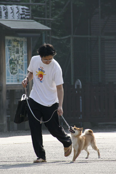 写真3