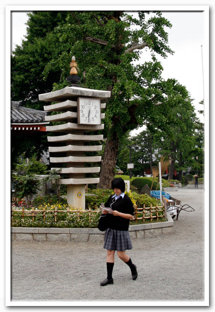 写真1