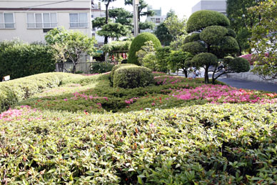 写真10