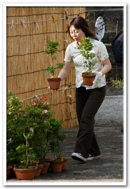 写真1