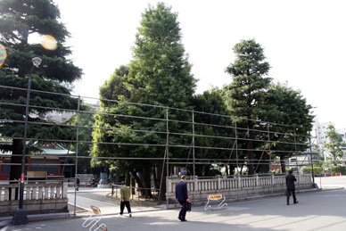 写真10