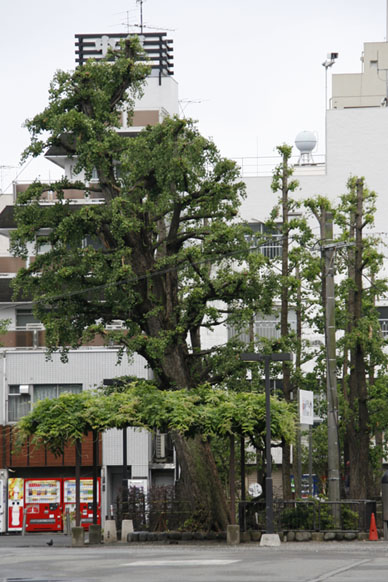 写真3