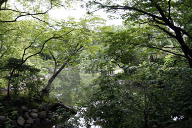 写真10