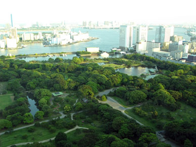 写真10