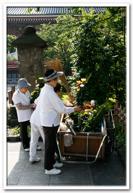写真1